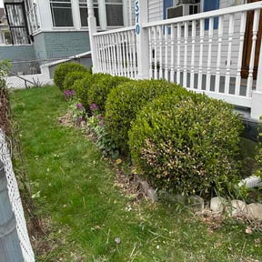 Bush Trimming by GrassPro Solutions reviewed on April 28, 2026