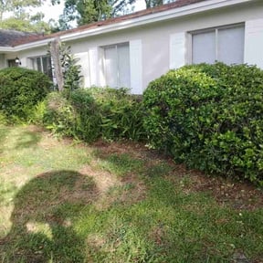 Bush Trimming by Sw services 1 reviewed on December 7, 2025