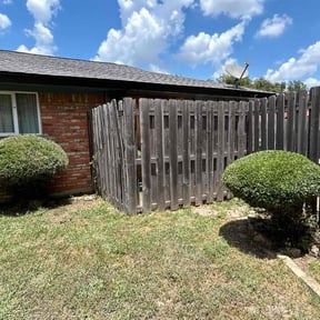 Bush Trimming by Carrion Home Services reviewed on August 16, 2025