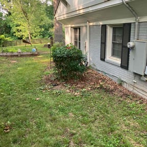 Bush Trimming by Tim's Mowing and More reviewed on August 15, 2025