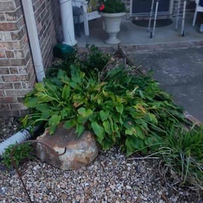 Flower Bed Weeding by American Quality landscaping reviewed on October 21, 2025