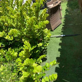 Bush Trimming by Okie Lawn and Landscape reviewed on November 7, 2025