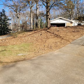 Leaf Removal by I Love Grass reviewed on September 24, 2025