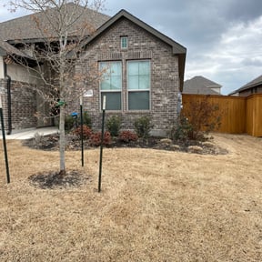 Bush Trimming by TV Lawncare reviewed on October 19, 2023