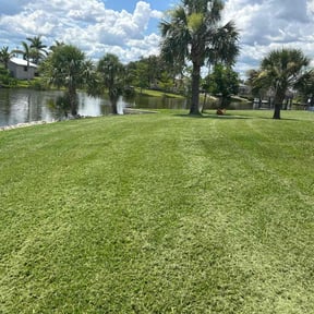 grass cutting by White Flag lawncare reviewed on August 19, 2025