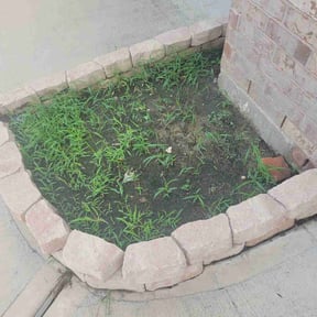 Flower Bed Weeding by The Kadyebo way reviewed on November 5, 2025