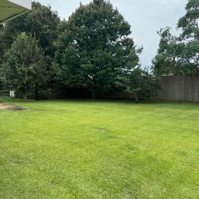 yard service by Yard pro reviewed on August 15, 2025