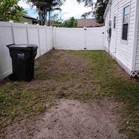 Leaf Removal by Simple Budget Cuts reviewed on September 27, 2025