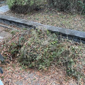 Bush Trimming by ShiftChange LLC Lawn Service reviewed on December 4, 2025