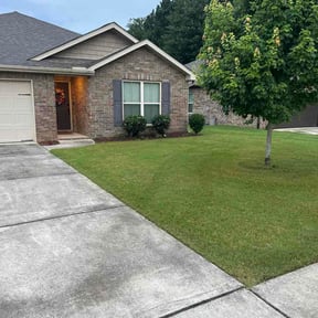 Bush Trimming by Complete Landscape Solutions reviewed on May 23, 2025