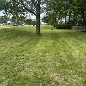 lawn care by Js Lawn Care reviewed on March 22, 2024