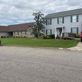 landscaping services by Razi Lawn Care reviewed on August 15, 2025