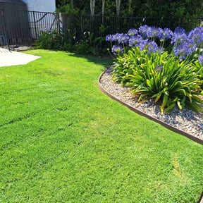 landscape maintenance by Marvin's Services LLC reviewed on November 25, 2025