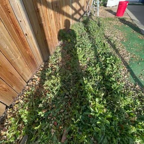 Bush Trimming by Cobbs Construction, LLC reviewed on March 10, 2026