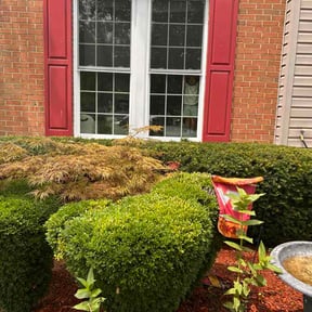 Bush Trimming by Andy’s Lawn Service reviewed on July 20, 2026
