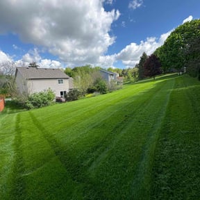 landscaping by Quasny & Son Landscaping reviewed on August 20, 2025