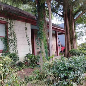 Bush Trimming by Sunnyside Lawn care reviewed on October 19, 2025