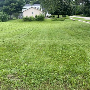 turf care by D&G Lawn Care/Pressure Washing reviewed on April 24, 2024