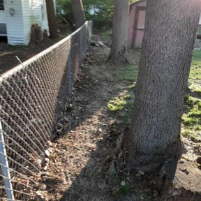 Leaf Removal by Bigdogs Property Maintenance reviewed on September 11, 2025