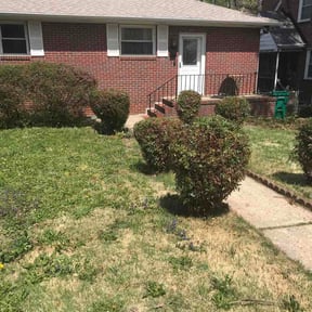 Bush Trimming by Beach breeze lawns reviewed on April 6, 2026