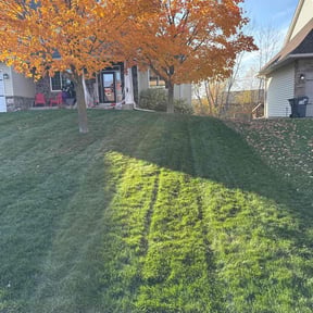 Leaf Removal by R&amp;N services of ocala fl llc reviewed on November 8, 2025