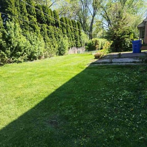 yard work by Worry No Mow Lawn and Landscaping reviewed on August 16, 2025