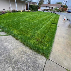 landscaping by Universal services rcr LLC reviewed on March 15, 2022