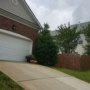 Bush Trimming by Julian's Lawn Care Service reviewed on August 14, 2025
