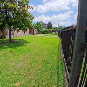 lawn maintenance by Murray Services reviewed on August 21, 2025
