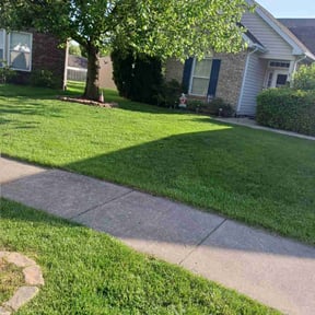 yard maintenance by Green Priority reviewed on August 19, 2025