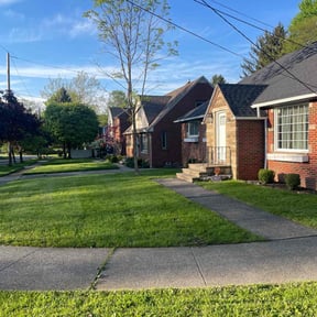 landscaping by Mario's Landscape reviewed on August 19, 2025