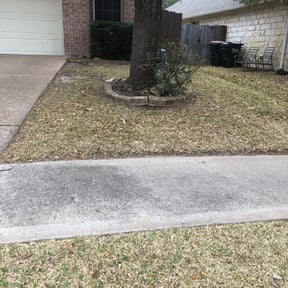 Bush Trimming by Cutting up Lawn and Tree Care reviewed on June 8, 2022