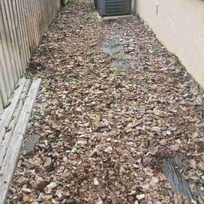Flower Bed Weeding by Bay Land &amp; Trees Llc. reviewed on June 4, 2026