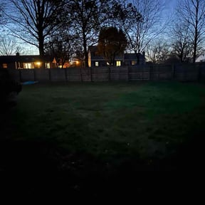 Leaf Removal by Beach cuts reviewed on November 24, 2025