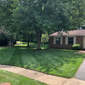 gardening service by G&amp;M Landscaping Services reviewed on August 19, 2023