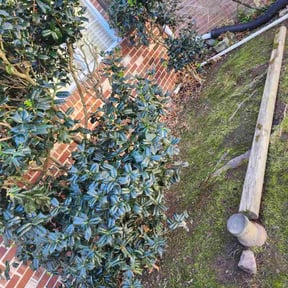 Flower Bed Weeding by Superior lawn maintenance reviewed on November 27, 2025