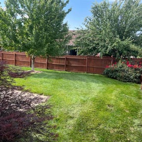 landscape maintenance by Knox Vegas Lawn Service reviewed on May 16, 2024