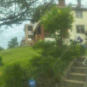 Bush Trimming by Tim's Discount Lawn reviewed on May 5, 2026