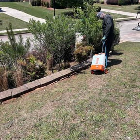 Flower Bed Weeding by Hirer us first reviewed on April 10, 2026