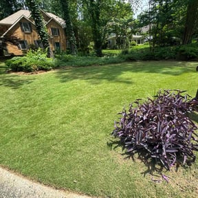 yard maintenance by Curb Appeal Landscaping reviewed on August 15, 2025