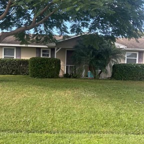 Bush Trimming by Grateful Green Lawn Care reviewed on December 24, 2025