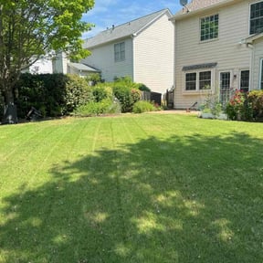 gardening service by Dependable men landscaping reviewed on November 19, 2025