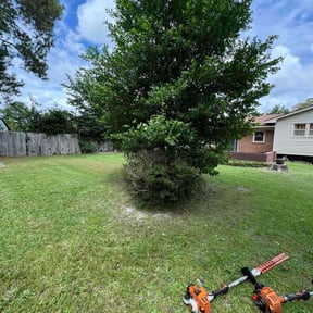 Bush Trimming by A&#039;s Outoor&#039;s reviewed on August 2, 2025