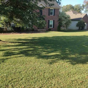 gardening service by Absolutely Random reviewed on August 14, 2025