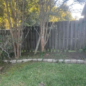 Bush Trimming by Rjm reviewed on November 23, 2025