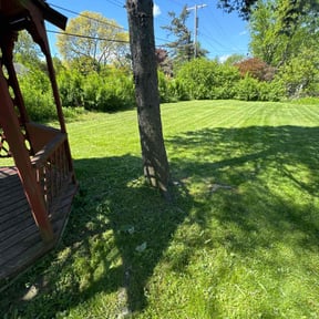 landscaping by J.C.London's Lawn and Landscaping Services LLC reviewed on August 16, 2025