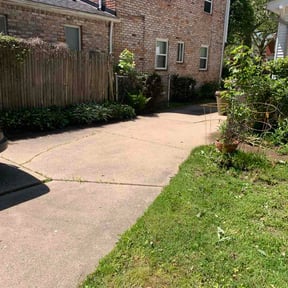 Leaf Removal by Dad Will Do It. Lawn services LLC reviewed on May 22, 2026