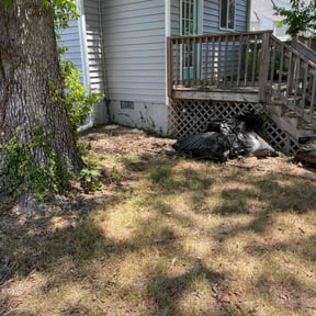 Leaf Removal by C & S Landscape Company, LLC reviewed on September 27, 2025