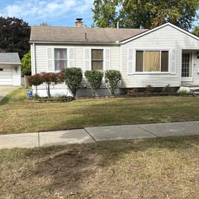 Bush Trimming by South Down South reviewed on January 3, 2026