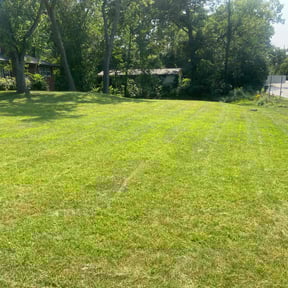 yard care by Richard's Lawn Care reviewed on December 9, 2025